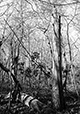 At Rest 28